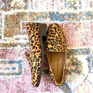 NWT Lucky Brand Camden Flat